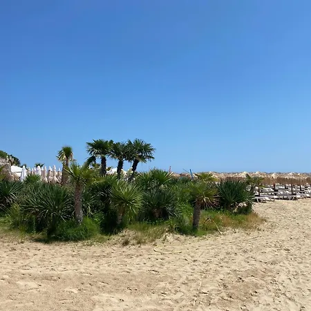 Toni House 507 Marina